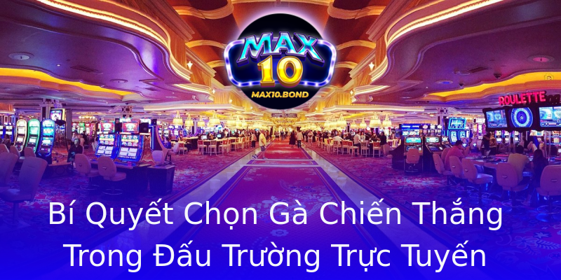 Bí Quyết Chọn Gà Chiến Thắng Trong Đấu Trường Trực Tuyến Bí Quyết Chọn Gà Chiến Thắng Trong Đấu Trường Trực Tuyến
