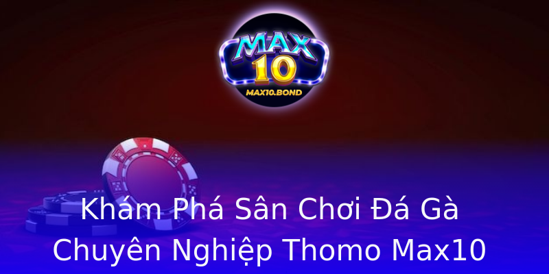 Khám Phá Sân Chơi Đá Gà Chuyên Nghiệp Thomo Max10 Khám Phá Sân Chơi Đá Gà Chuyên Nghiệp Thomo Max10