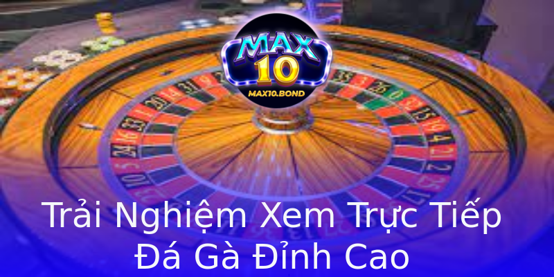 Trải Nghiệm Xem Trực Tiếp Đá Gà Đỉnh Cao Trải Nghiệm Xem Trực Tiếp Đá Gà Đỉnh Cao